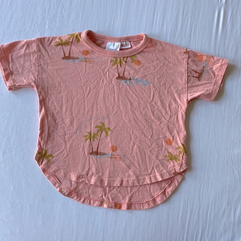 Zara Toddler Boy T-shirt